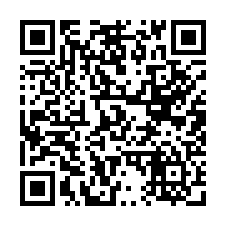 QR code for 641125