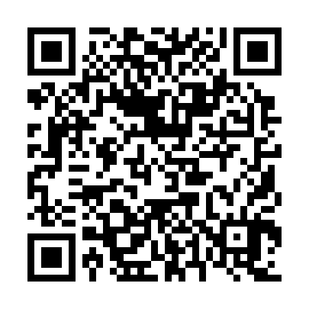 QR code for 641304