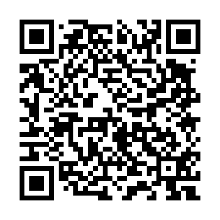 QR code for 641411