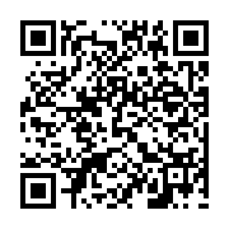 QR code for 643333