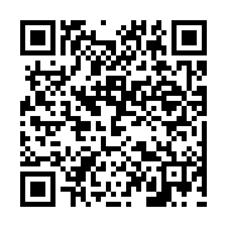 QR code for 646386