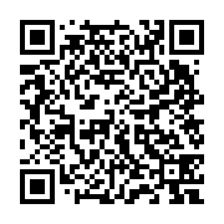 QR code for 647638