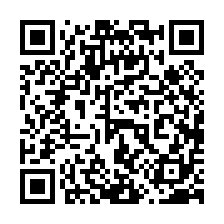 QR code for 650010