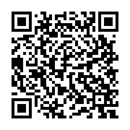 QR code for 650163