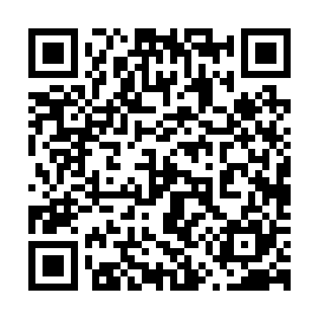 QR code for 650225