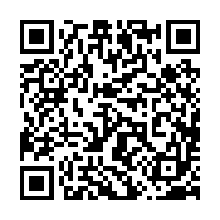 QR code for 650293