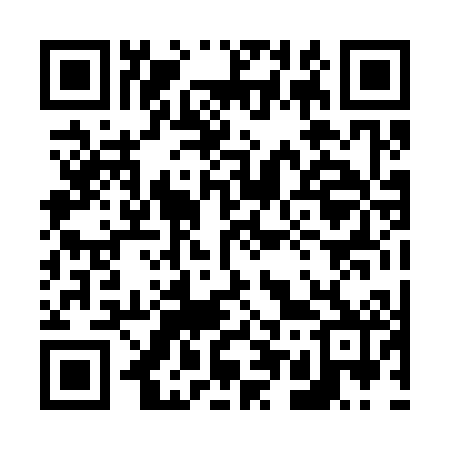 QR code for 650302