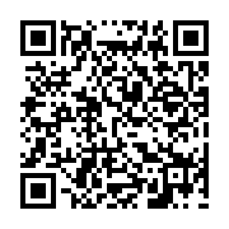 QR code for 650379