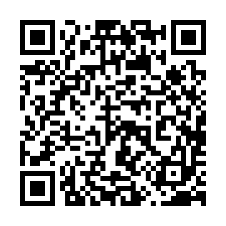QR code for 650393