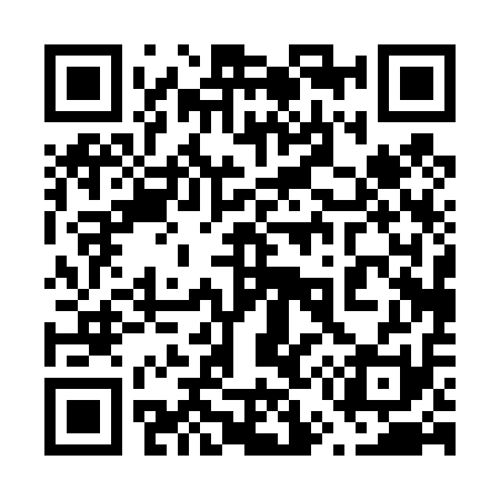 QR code for 650411