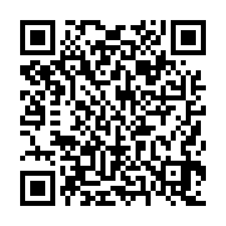 QR code for 650533
