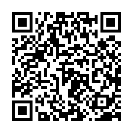 QR code for 650539