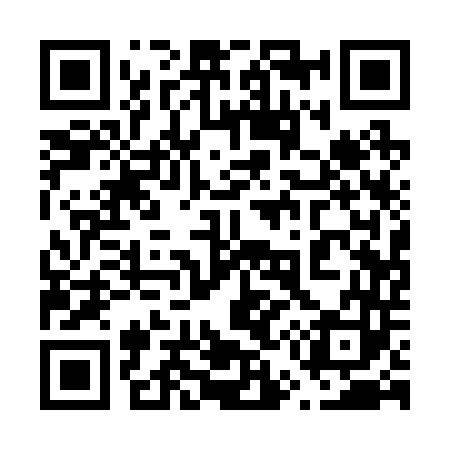 QR code for 651243