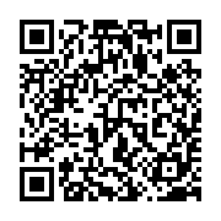 QR code for 653295