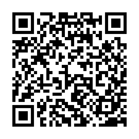 QR code for 653300
