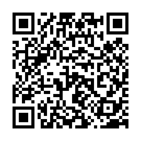 QR code for 653438