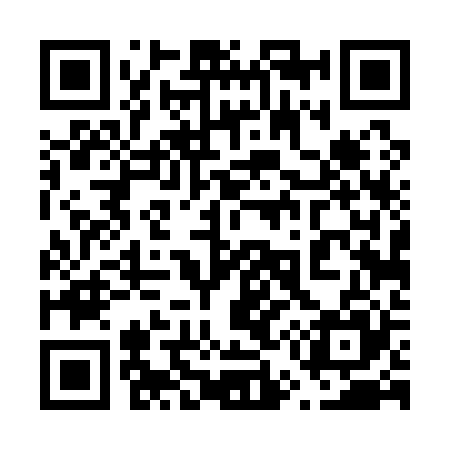 QR code for 654125