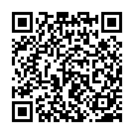 QR code for 655101