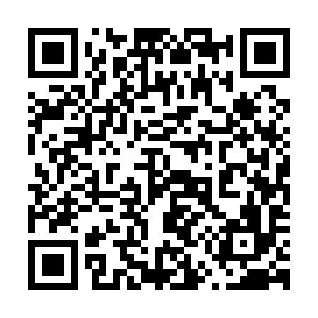 QR code for 655196