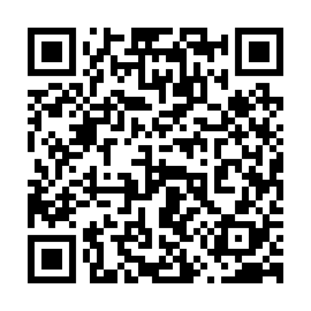 QR code for 655228