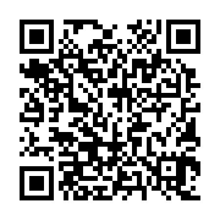 QR code for 655305