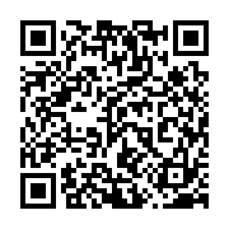 QR code for 655333