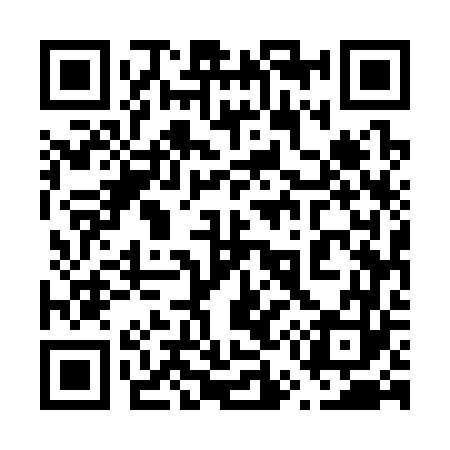 QR code for 655363