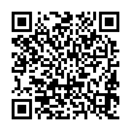 QR code for 655393