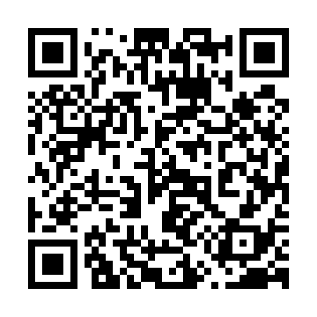 QR code for 655538
