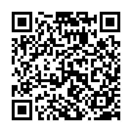 QR code for 656305