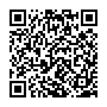 QR code for 656513