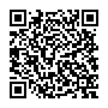 QR code for 656536