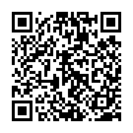 QR code for 656603