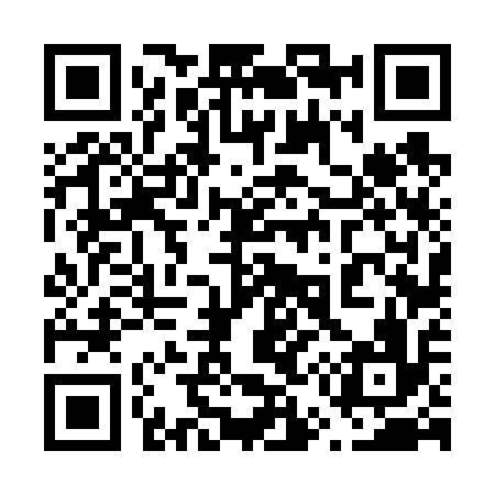 QR code for 656616