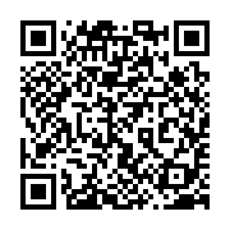 QR code for 663399