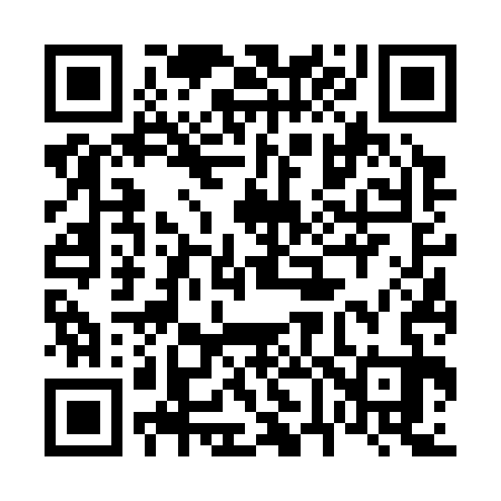 QR code for 666333