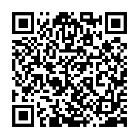 QR code for 666513