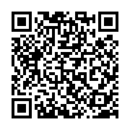 QR code for 666538