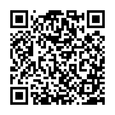 QR code for 666542