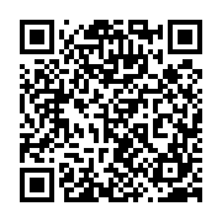 QR code for 666564