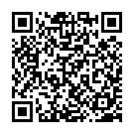 QR code for 666595
