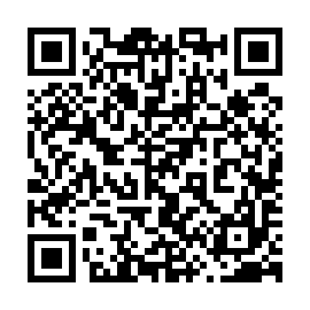 QR code for 666597