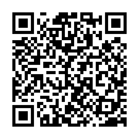 QR code for 666599