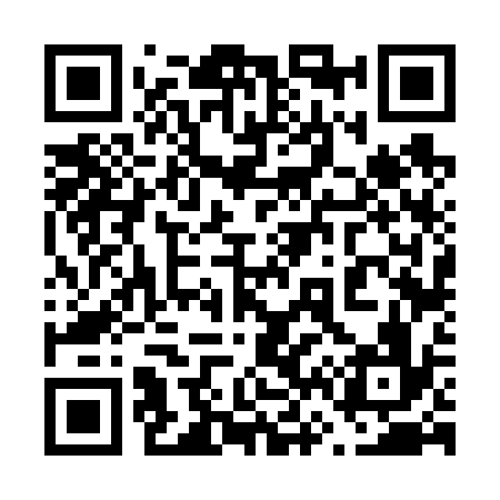 QR code for 666636