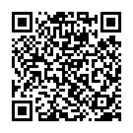 QR code for 666638