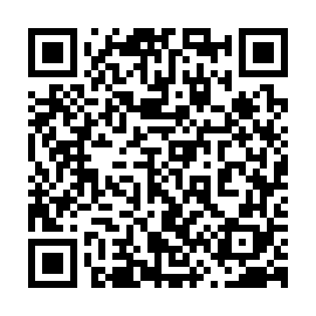 QR code for 667368