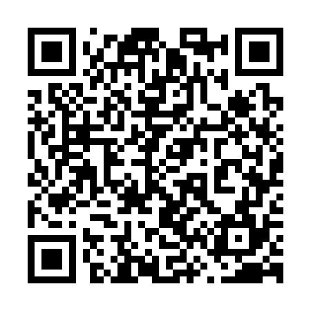 QR code for 667374