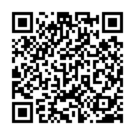 QR code for 675739