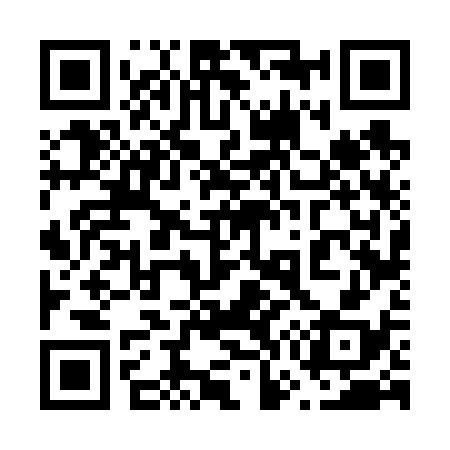 QR code for 676638