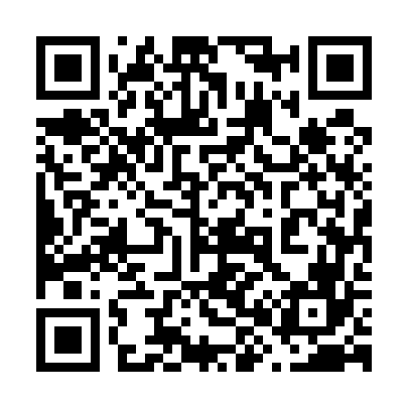 QR code for 685566